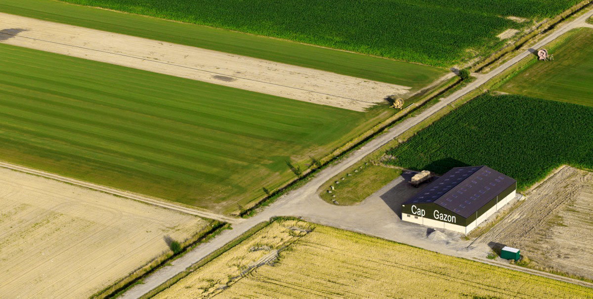 Pelouse à dérouler Val d'Oise